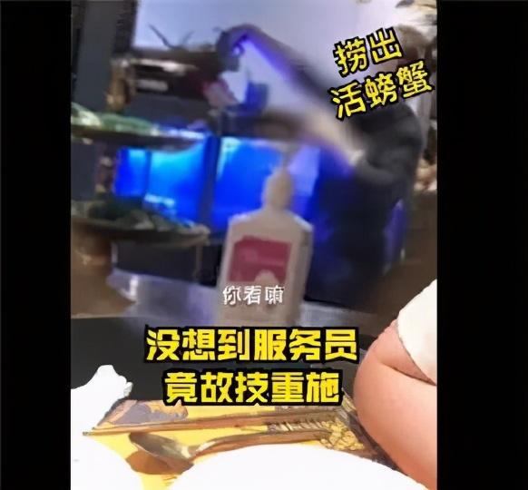 大众点评容不下点评