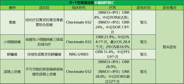 O+Y写入最新NCCN指南！从靶向到免疫，精准抗癌时代到来