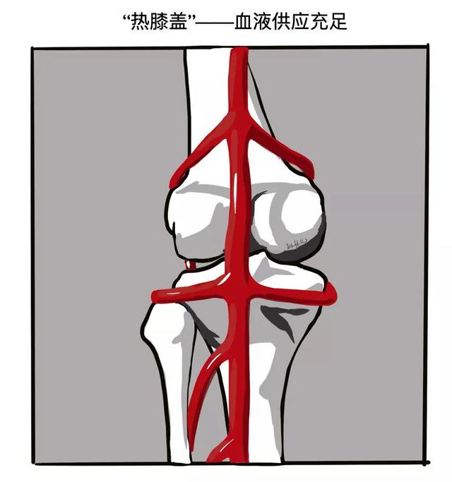 膝关节一活动，时不时传来“咔咔咔”的响声，需要治疗吗？