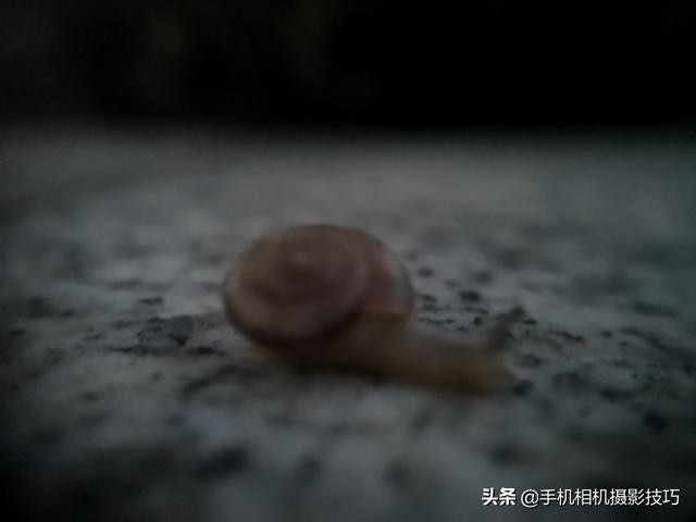 华为Mate 40最大的摄影黑科技是啥？居然是手机壳