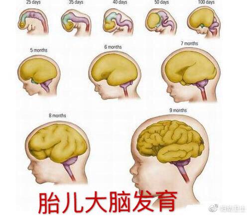 你的育儿经|偷走宝宝智商的“智商大盗”和“智商小偷”都可防