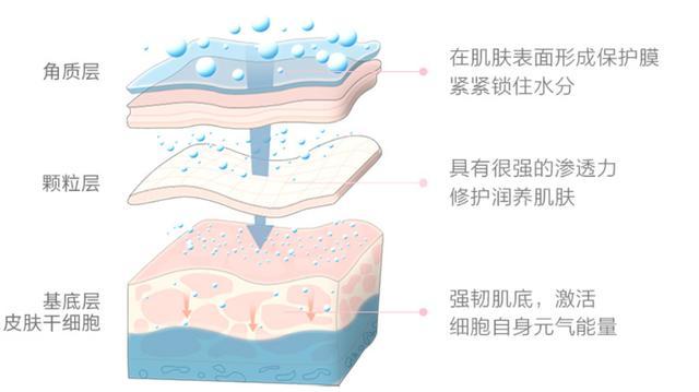 「你的育儿经」5秒钟卖出去2.8万瓶的面霜,薇娅极力推荐,林志颖:小小志也在用