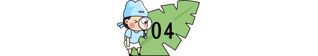 「夏以乔木」开学即期中！31个省市返校时间&暑假时间来了！复课第一个月，必须重视！（家长和孩子都读一读）