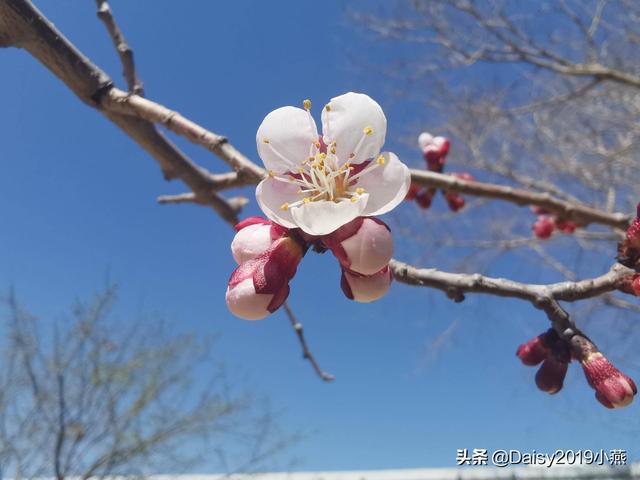 你的育儿经@孩子出生的时辰不好，婆婆责怪儿媳？科学育儿才是王道