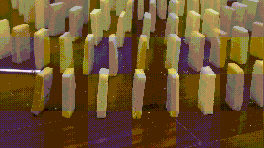 前所未见的饼干多米诺骨牌来了！凯度双热风蒸烤一体机挑战极致均匀