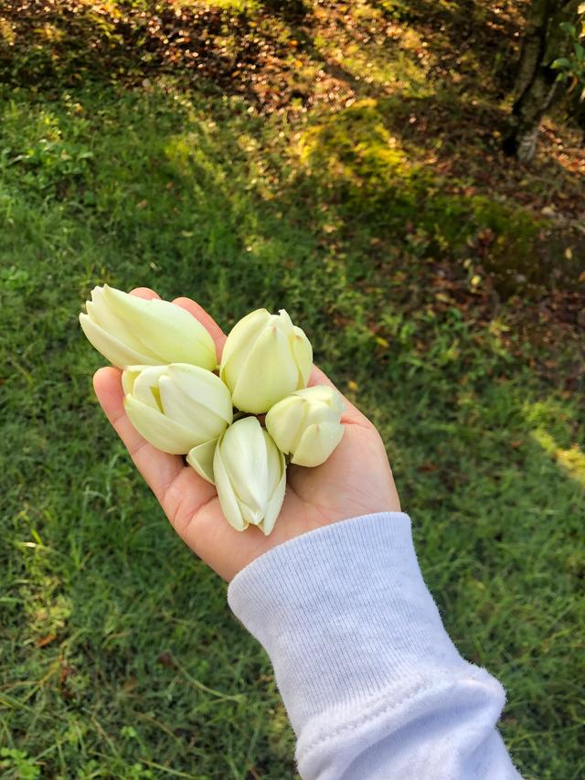 雨过天晴 真美好