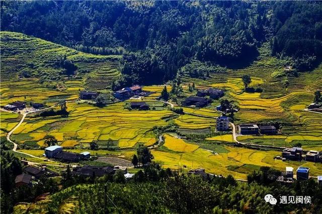 旅行百事通■国家级森林乡村！闽侯有5个村庄上榜