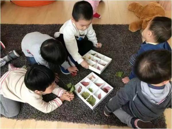 幼儿园|民心工程幼有善育加速升级，打造家庭式入托环境，科学育儿指导惠及社区幼儿