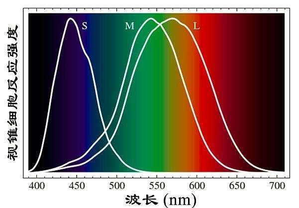 如何衡量显示器色彩表现？这几个参数一定要知道