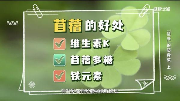 野菜|这些常见的野菜不仅能做美食，还能治病？赶紧收藏