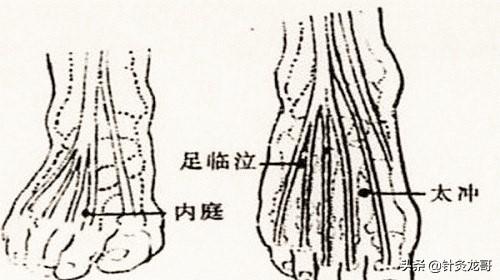 十二正经上的八脉交会穴通于奇经八脉，是灵龟八法的基础穴位