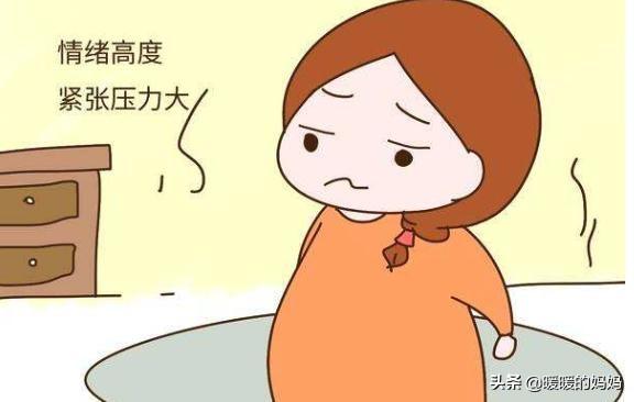 「你的育儿经」“我怀孕了，关掉你家WIFI”孕妈敲遍小区门，邻居霸气回怼太解气