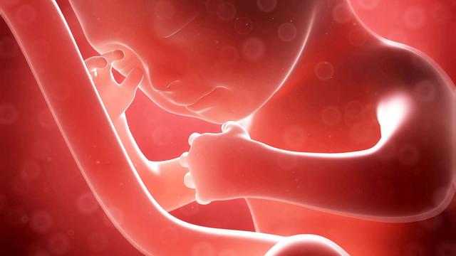 「超级宝妈」孕妇挺了9个月的大肚子，结局却是“空一场”，懊悔自责哭成泪人