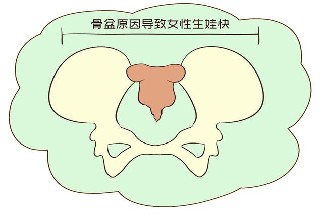 你的育儿经：“女孩出租房内独自产子，产后一如往常”，医生揭秘生娃快的真相