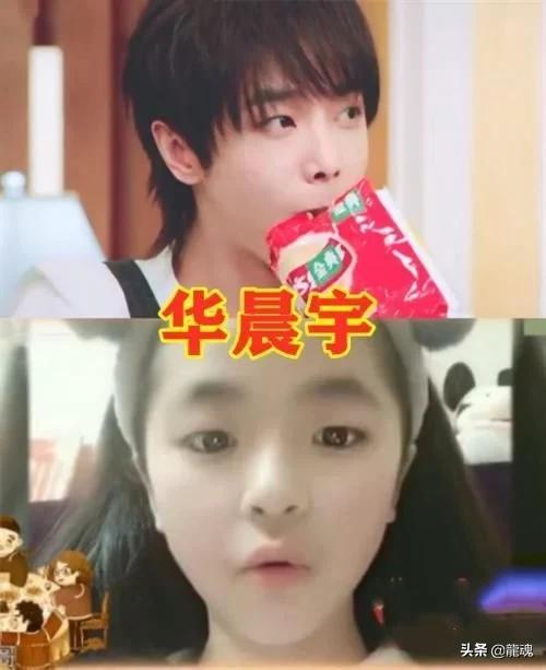 瓶的盖儿|这样的颜值，明星妹妹也都这样美