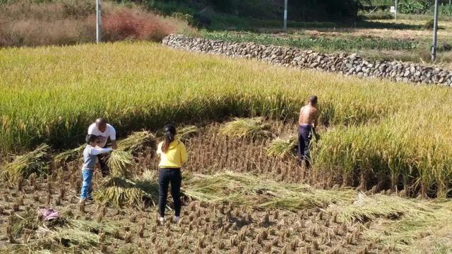 【超级宝妈】别样过假期，携手共育促成长——家乡篇