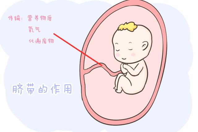 『超级宝妈』干货！你真的懂如何护理新生儿的脐带吗？看完这篇相信你就了解了
