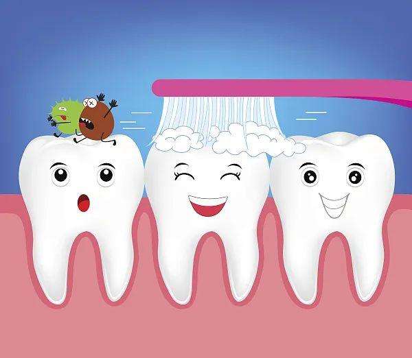 小朋友|谁是蛀虫的好朋友？