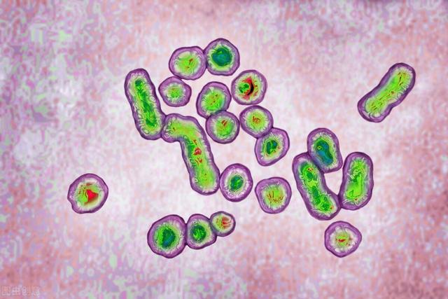 明明是乙肝大三阳，为何HBV-DNA阴性？