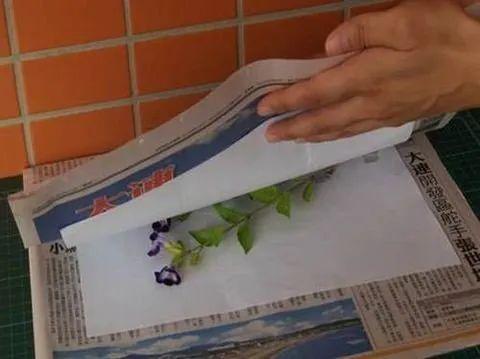 [你的育儿经]在中国旅游日感受大自然｜新家庭，心行动·亲子活动三个三