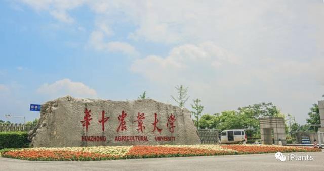 浅笑柔心|非985高校2020年综合实力排名：华中农业大学位列第一