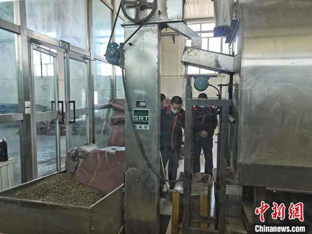 瓜子|小瓜子成富民大产业“中国食葵之乡”北屯瓜子出口全球36国（图）