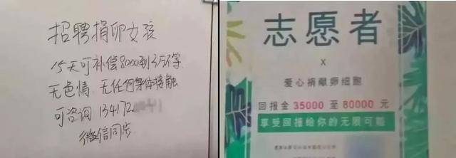 “14岁少女1万块卖了21颗卵子，超自豪”躺着赚快钱却哭着喊救命