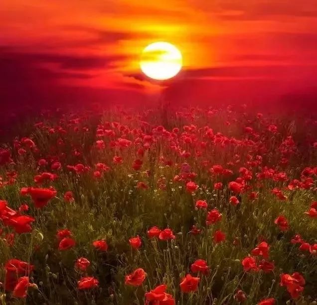 All Encounters Are an Evolution of Spring, Summer, Autumn and Winter