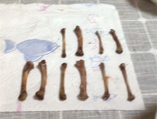 「超级宝妈」“强迫症”女儿,吃鸡肉一定要把骨头摆得整整齐齐,宝妈哭笑不得