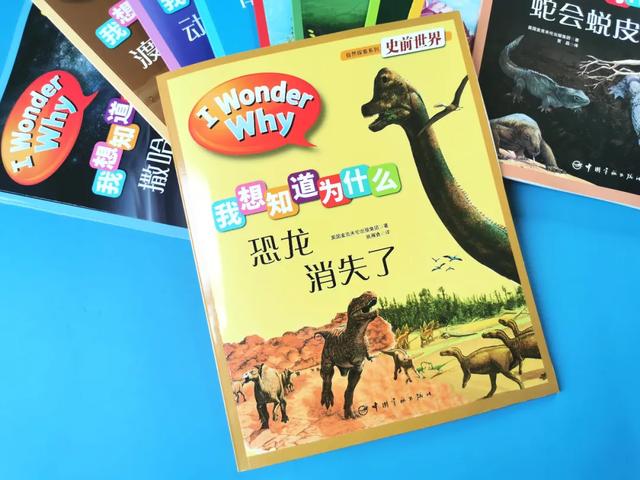 「影视交流地」黄圣依被5岁儿子嫌弃却获赞无数:用百科书喂大的孩子眼界不一般