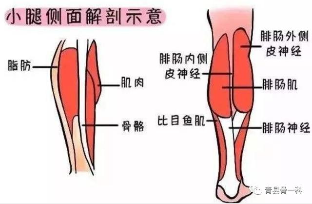 脚底疼痛是怎么回事？