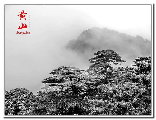 趣旅游■雾中的黄山，那种极致的美丽，不是所有到黄山的人都有机缘看到的