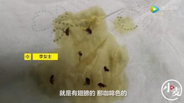 忆美好时光|怀孕女子吃饺子时发现蘸碟不太对劲，仔细一看吓得不轻