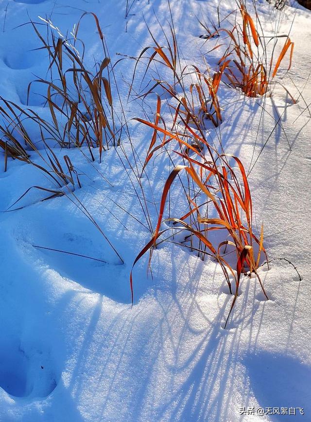 亲爱的，你那里下雪了吗？