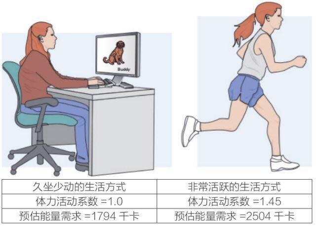 基础代谢率|女性保持体重的关键——能量代谢