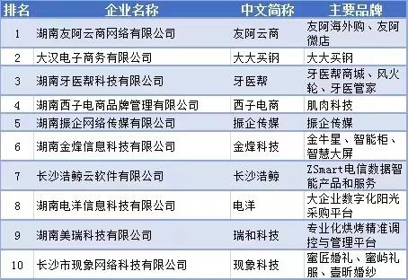 互联网|湖南省互联网企业50强名单揭晓！综合互联网企业30强榜单红网位列第四