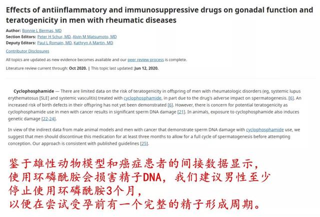 男性肾友备孕指导，什么药能吃，什么不能？最新权威研究解读