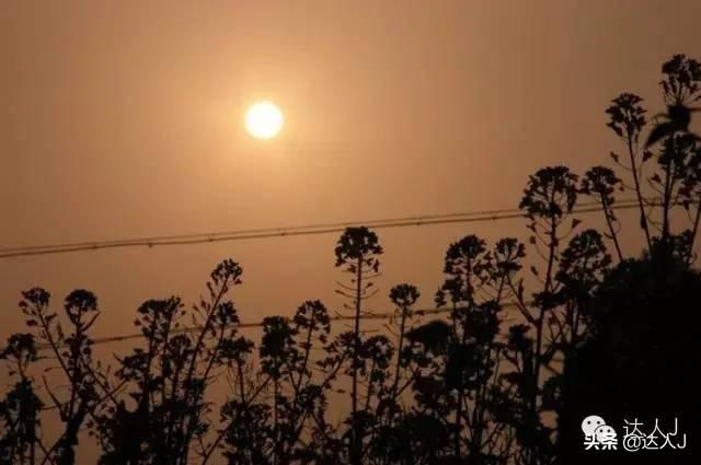 [世界那么大]#唤醒好春光#这次，我要去婺源感受不一样的油菜花世界