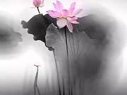 Like a Lotus Heart, Mind Like Enlightenment