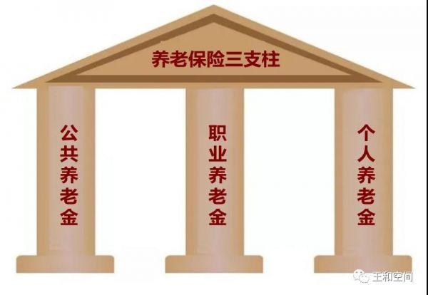 保险|保险学者王和：“横竖”都是为了更好地养老