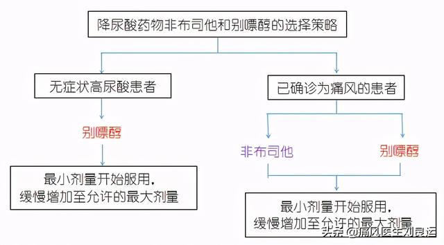 别嘌醇伤肾，非布司他伤心，痛风该选哪种降尿酸药物不伤身？