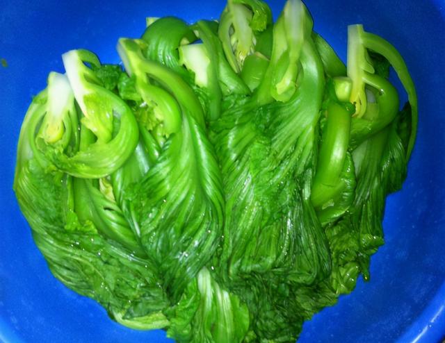 腌酸菜，3个细节处要注意，牢牢记住，酸菜不怕烂，酸脆好吃