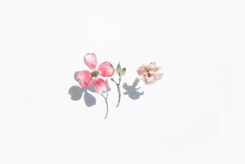 #你的育儿经#做到这4点,亲子关系越来越好