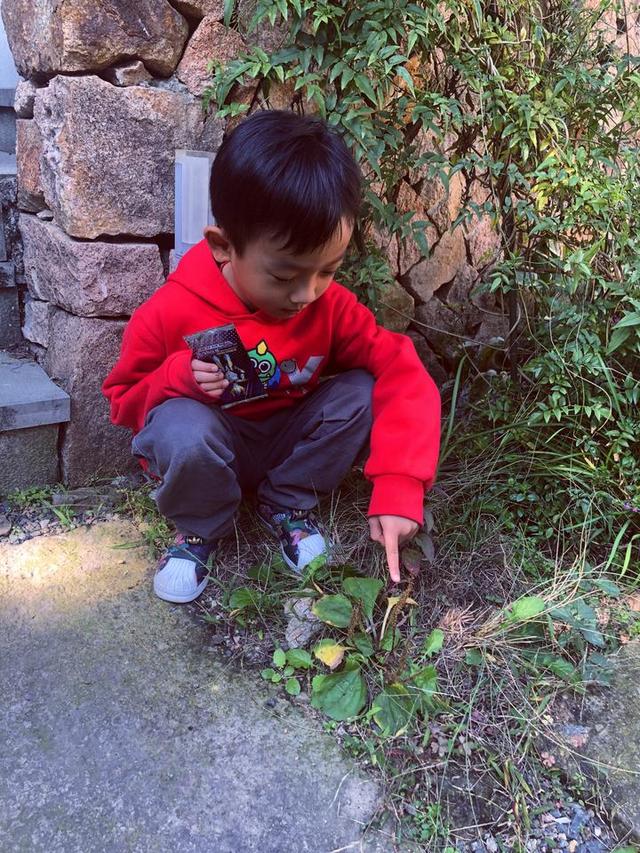 佛手|当孩子遇到佛手，会一场怎样的深秋邂逅？既是非同寻常的中医体验，更是传承着中华文化