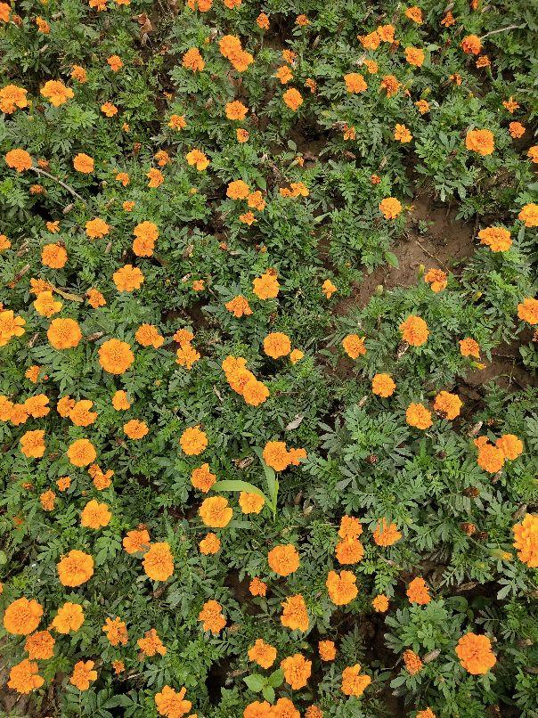 『万丈光芒』西安孩子夏天去哪玩？开车一小时，新增童世界距离乐华城10分钟。