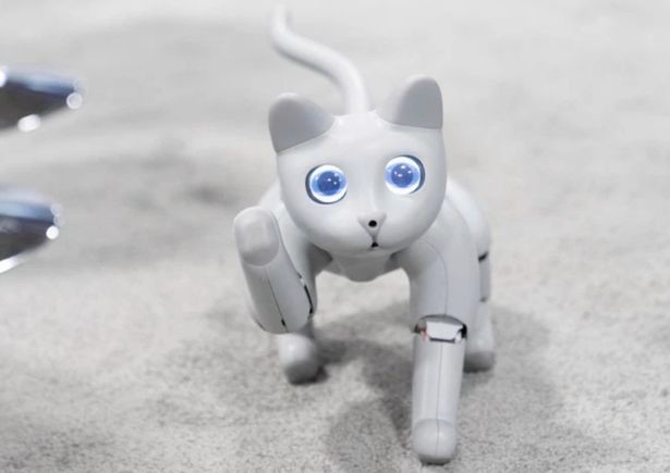 【太平洋电脑网】萌宠机器猫来啦：会感应甚至可以玩玩具，你想要吗？