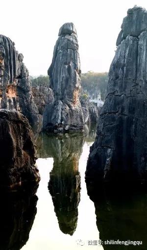 「趣旅游」【雾雪霜华】石林湖的白雾凉波