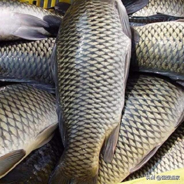 没地方熏腊鱼，试试酱油腊鱼，易学易做，色泽红亮，比熏鱼还好吃