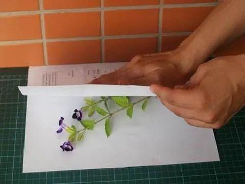 [你的育儿经]在中国旅游日感受大自然｜新家庭，心行动·亲子活动三个三