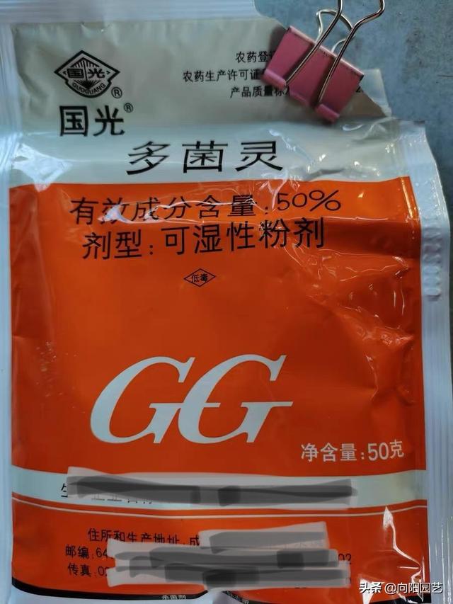 养多肉，必备“3种杀菌药”，学习使用方法，告别病菌，虫害